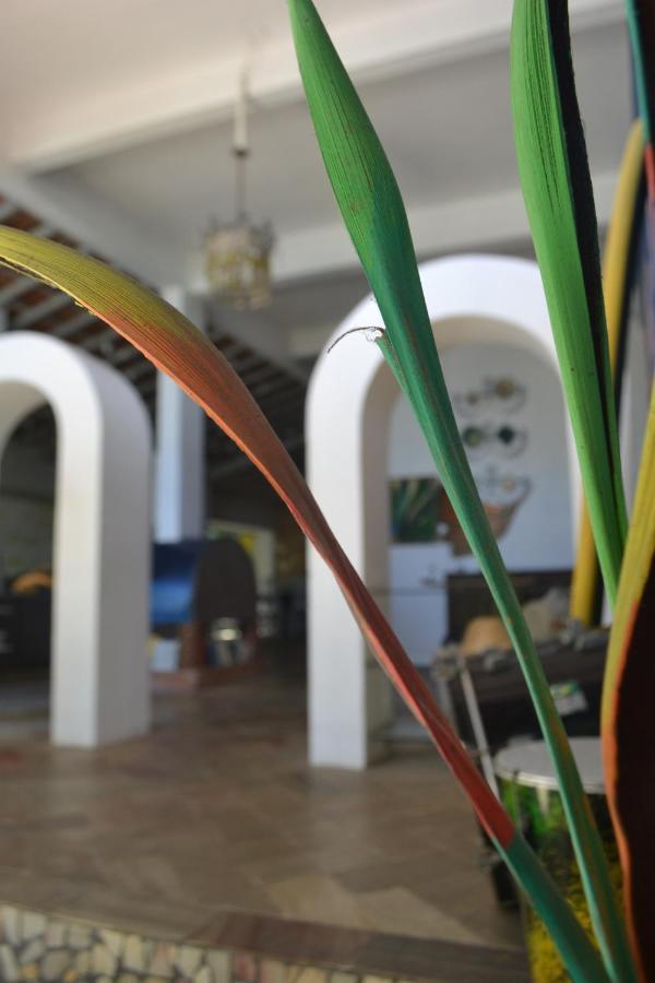 Hostal Banana Leaf Eco *